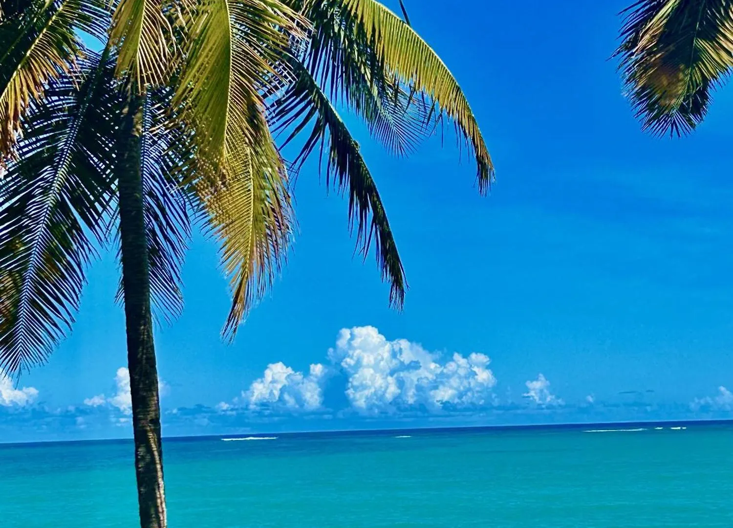 Casa Lima In Villa Palmeras San Juan 0*,  Puerto Rico